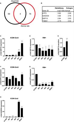 Novel Insights Into Cellular Changes in HPV8-E7 Positive Keratinocytes: A Transcriptomic and Proteomic Analysis